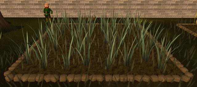 File:Reeds4.png