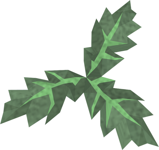 File:Clean aloe detail.png