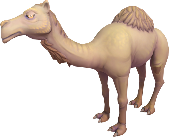 File:Ali the Camel.png