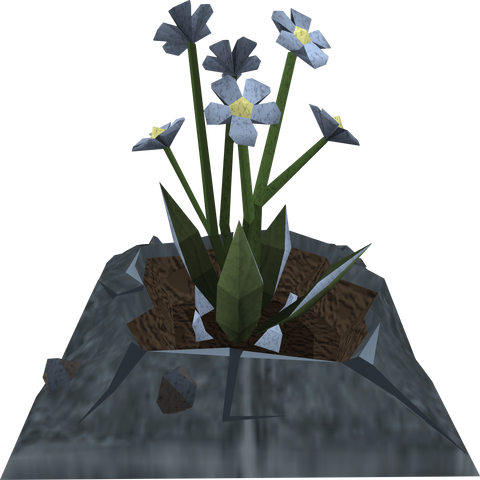 File:Salve nettles plant.png