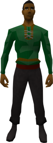 File:Retro lumberer's tunic.png