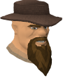 File:Hervi chathead old.png