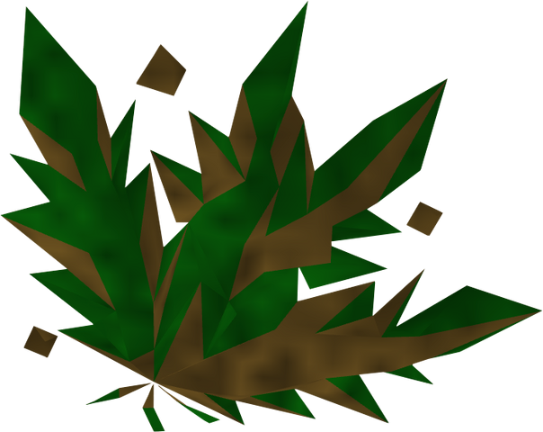 File:Grimy dwarf weed detail.png