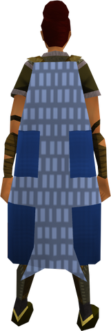 File:Team-23 cape equipped.png
