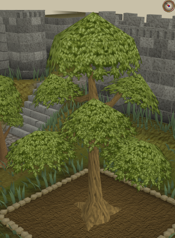 File:Yew9.png