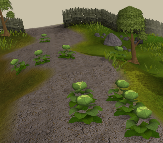 File:Cabbage layers.png