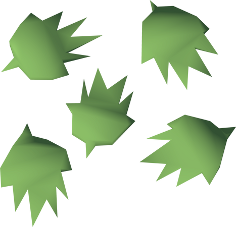 File:Cactus seed detail.png