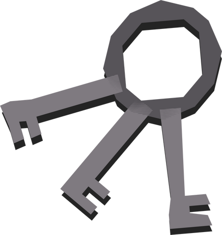 File:House keys detail.png