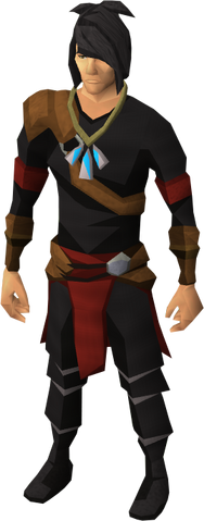 File:Pendant of Defence equipped.png
