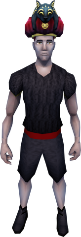 File:Cat hat equipped.png