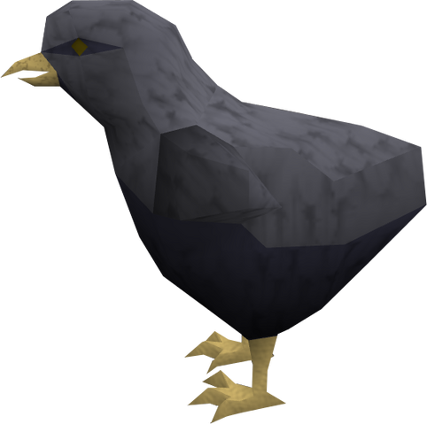 File:Raven chick (black) pet.png