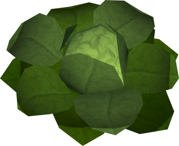 File:Cabbage (New Varrock) detail.png