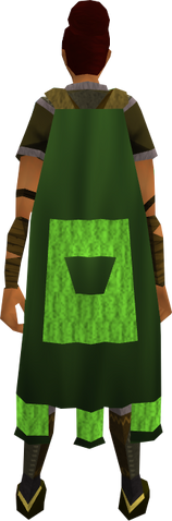 File:Team-31 cape equipped.png