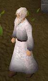 Seer
