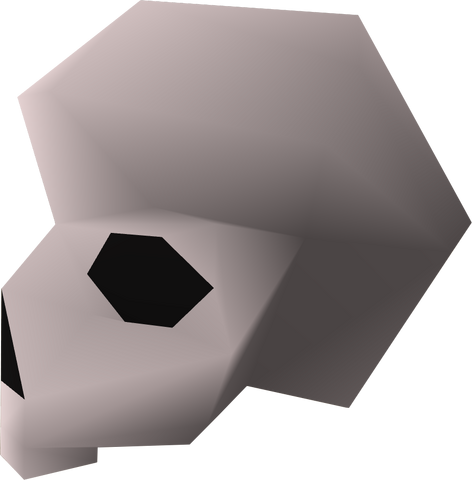File:Right skull half detail.png
