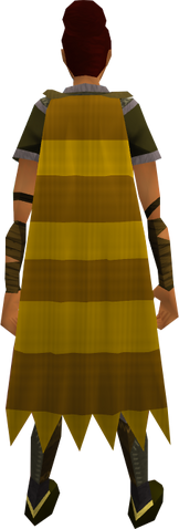 File:Team-15 cape equipped.png