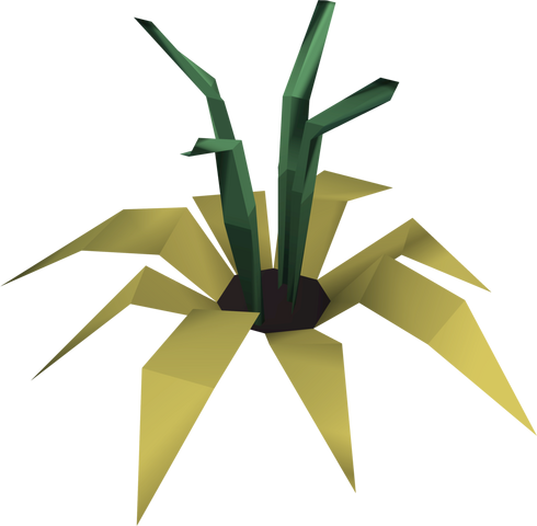File:Vine flower detail.png