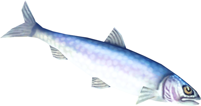 File:Raw tarpon detail.png