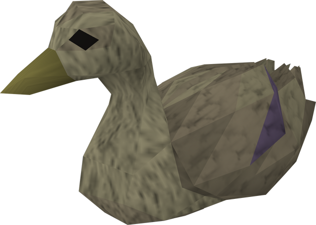 File:Mrs Duck.png