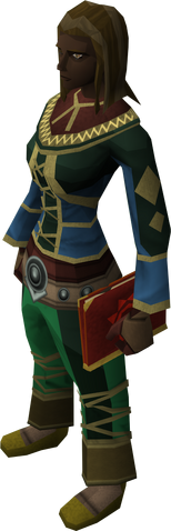 File:Mages' book equipped.png