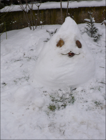 Súbor:Poring.sneh1.png