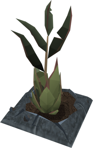 File:Runeleaf plant.png