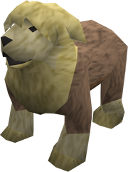 Sheepdog (yellow) pet