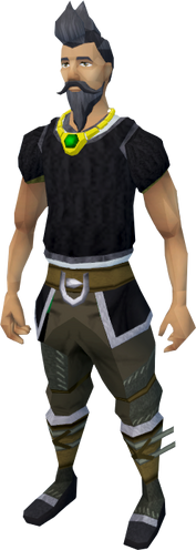 File:Binding necklace equipped.png