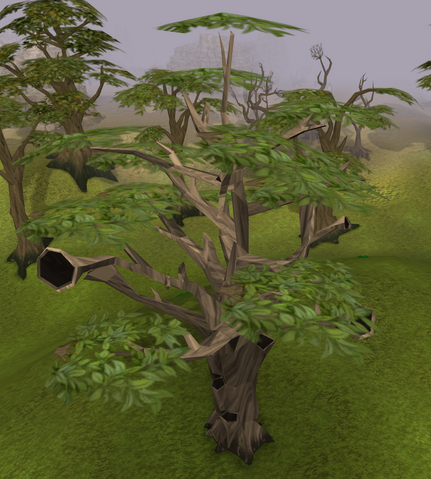 File:Swaying tree.png