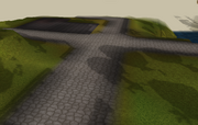 No house npc player only shadow on entrana
