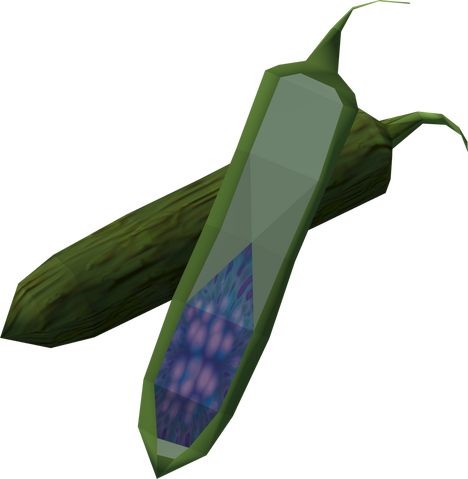 File:Bitter melon detail.png