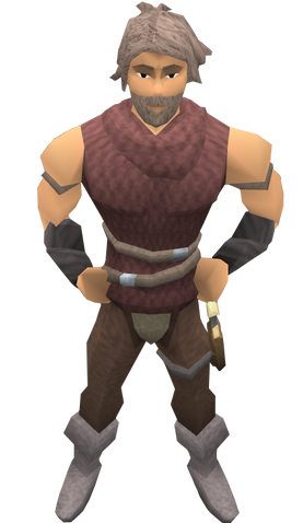 File:Chief Thief Robin.png