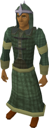 Druidic mage robes equipped