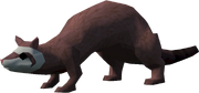Ferret of doom