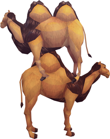 File:2 camel stack.png