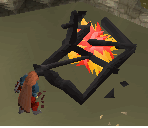 檔案:Cw3.1.PNG