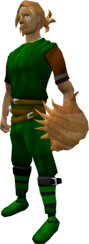 File:Shell Shield equipped.png
