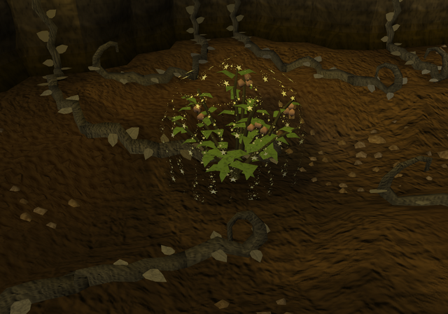 File:Tchikinutbush.png
