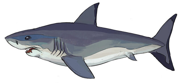 File:RS News Main Aquarium (5) update image.jpg