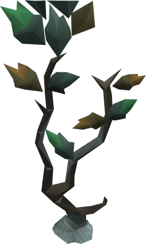 File:Seeping elm tree.png