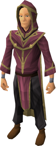 File:Wicked robes equipped.png