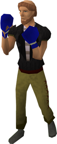 File:Blue boxing gloves equipped.png
