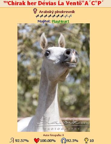 Súbor:Arabkoo.jpg