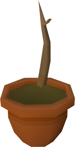 File:Pineapple sapling detail.png