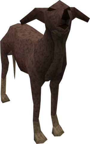 File:Greyhound (dark brown) pet.png