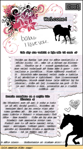 Súbor:Profil1.1.png