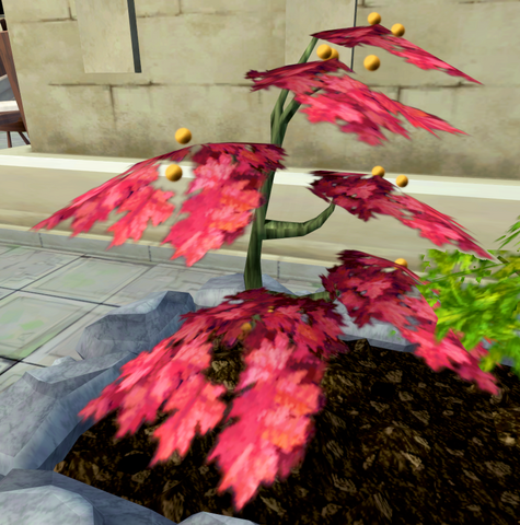 File:Smoulderberry bush.png