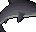 File:Sayln the Shark.png