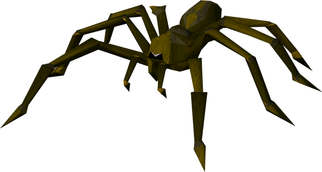 File:Lumbridge guard spider.png