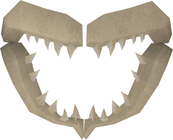 File:Shark jawbone detail.png